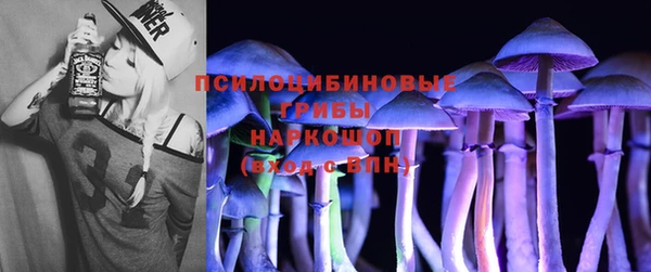 бошки Аркадак