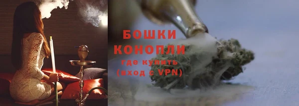 стаф Няндома