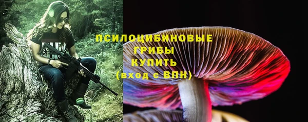 бошки Аркадак