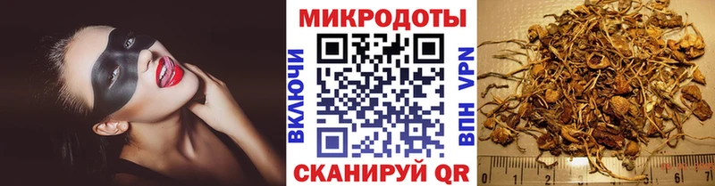 даркнет наркотические препараты  ссылка на мегу   Псилоцибиновые грибы ЛСД  Пустошка  сколько стоит 
