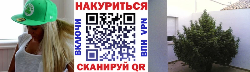 Шишки марихуана OG Kush Пустошка